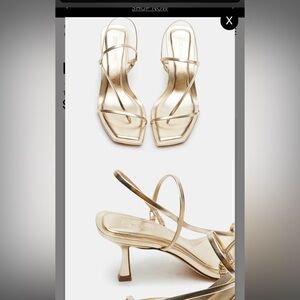 Steve Madden Locke Champagne